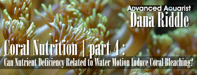 nutrientwatermotion2.jpg