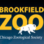 54 Stingrays Die at Chicago’s Brookfield Zoo