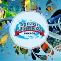 Aquascaping Contest at the Aquatic Experience - Chicago