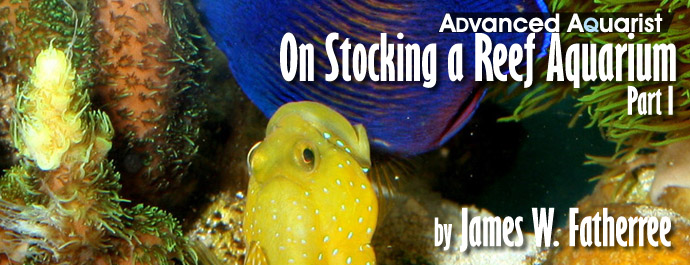 On Stocking a Reef Aquarium: Part I