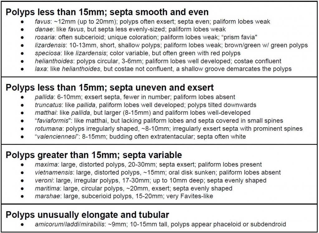 brain  coral id chart - reefs