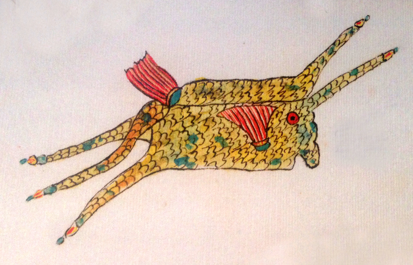 Fallours' drawing of a cowfish is only slightly less-bizarre than the actual fish.