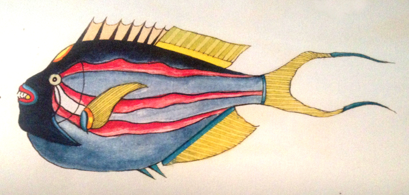 Lamarck's Angelfish never looked so good.