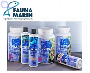 fauna marin products - reefs