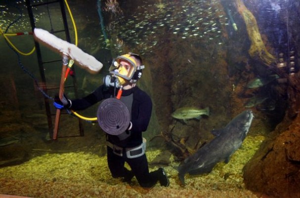 aquarium-diver