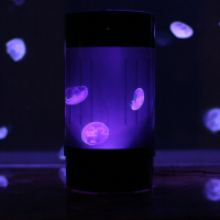 Nano Jellyfish Tank News
