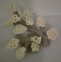 Branching Frag Holders from The Alternative Reef