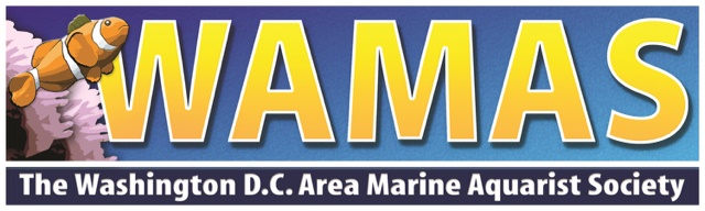 WAMAS Logo - reefs