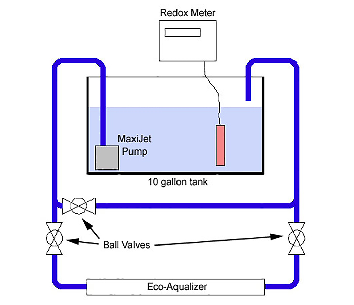 A diagram of the Eco-Aqualizer experiment done by Inland Reef Aquaria. Photo by Inland Reef Aquaria.