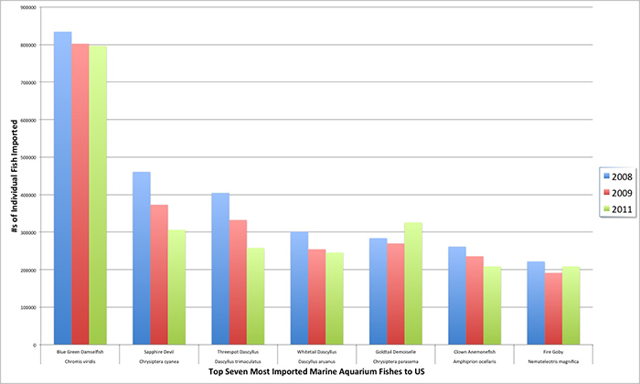 The seven most imported species of marine aquarium fishes to the US represent almost 33 percent of the overall import volume.