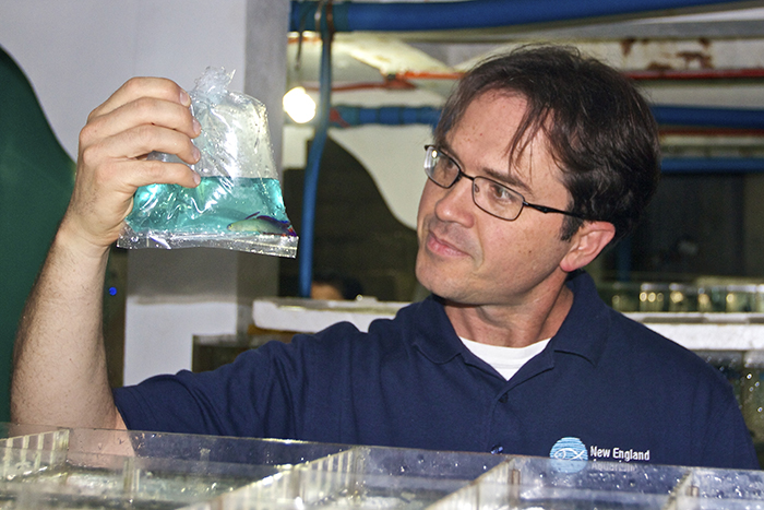 Dr. Andrew Rhyne and his colleagues from New England Aquarium are taking a closer look at the trade in marine aquarium fishes, and the data they are producing could be a game-changer.