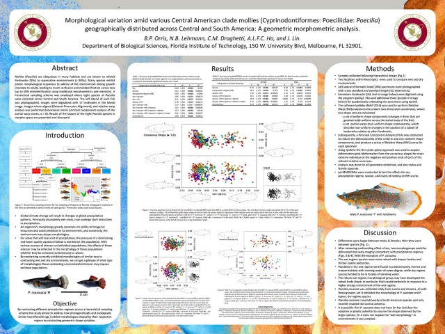 Example-Poster-for-MASNA-Scientific-Poster-Session - reefs