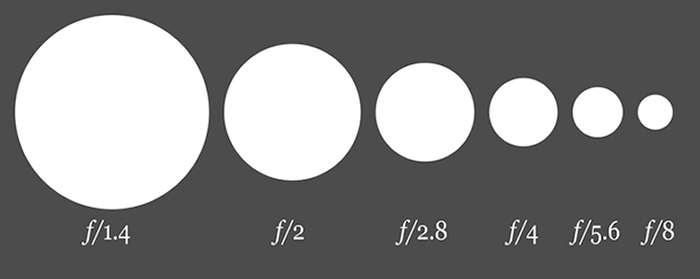 F-stops and their aperture sizes. The smaller the f-stop, the larger the opening, and thus more light enters. Photo by Wikipedia.