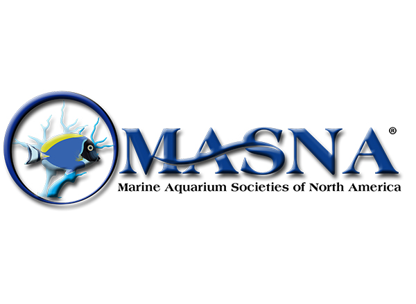 Aquarist of the Year and MASNA Award Recipients Announced