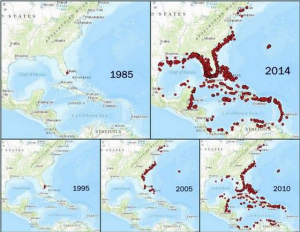 Lionfish sightings, 1985-2014. Source: US Geological Survey/Florida Fish and Wildlife Conservation Commission