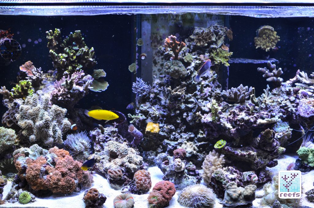 100g tank when things started going downhill