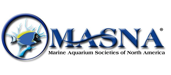 MASNA 2017-18 Student Scholarship Winners Announced