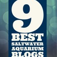Thank You, Saltwater Aquarium Blog!