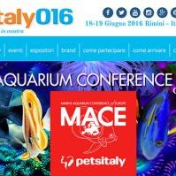 MACE 2016, for the first time in Italy, This Weekend