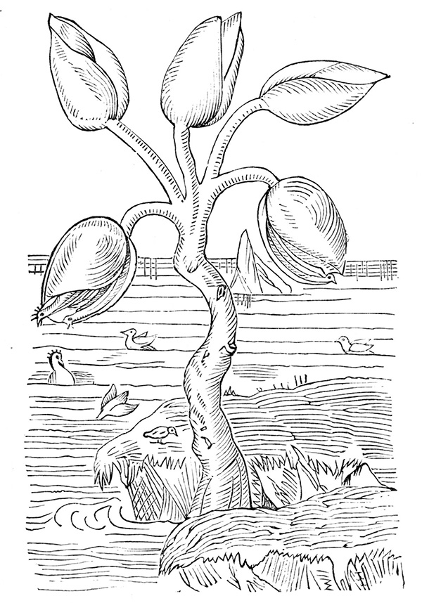 By Unknown - Popular Science Monthly Volume 4, Public Domain, https://commons.wikimedia.org/w/index.php?curid=10755434