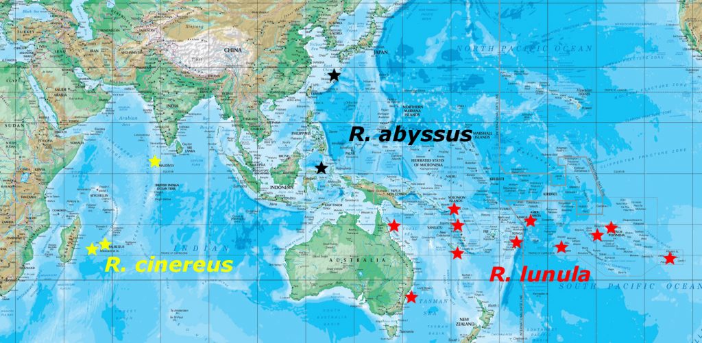 abyssus map