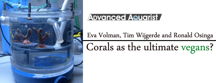 Feature Study: Corals as the ultimate vegans?