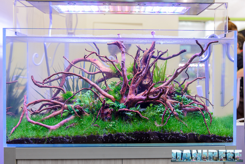 Tetra - Holiday - 30 g  Aquasabi - Aquascaping Shop