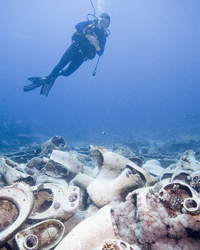 diver by loos - yolanda reef