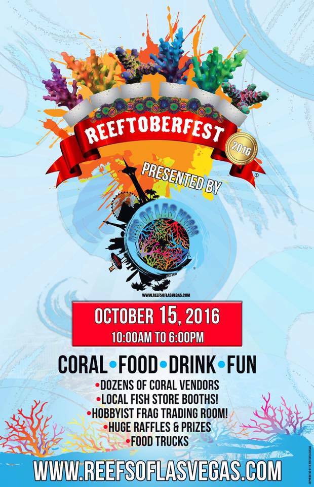 reeftoberfest 2016 - reefs
