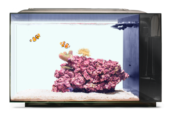 Biota Aquariums: the World’s Easiest Saltwater Aquarium