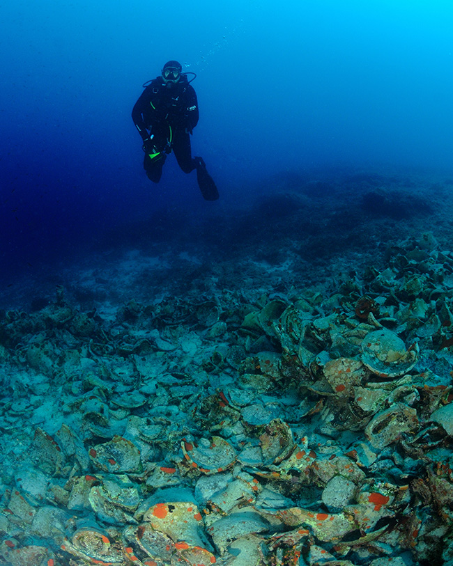 This broken mass of amphorae marks an ancient wreck in Croatia. It is in effect a rubble zone and was full of life