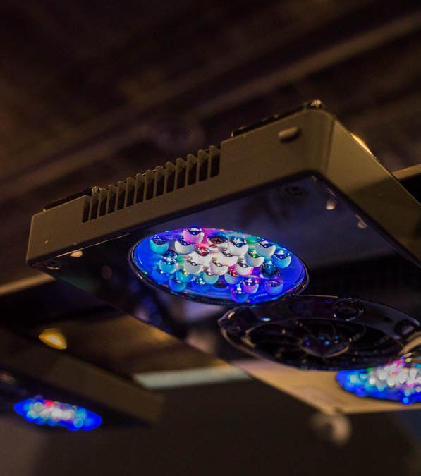 MACNA 2016 Coverage: Ecotech Marine Booth