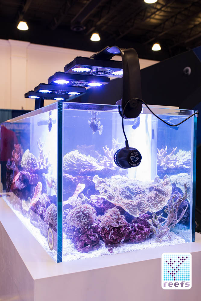One of Ecotech display reef tanks.