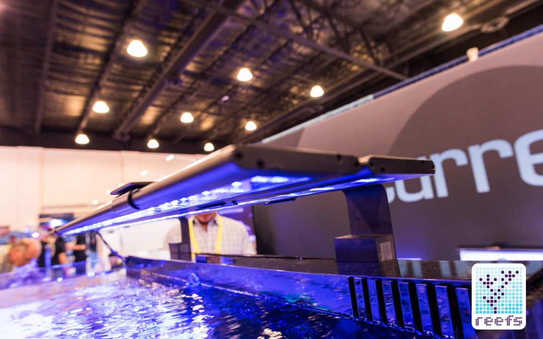 MACNA 2016 Coverage: Current USA Booth