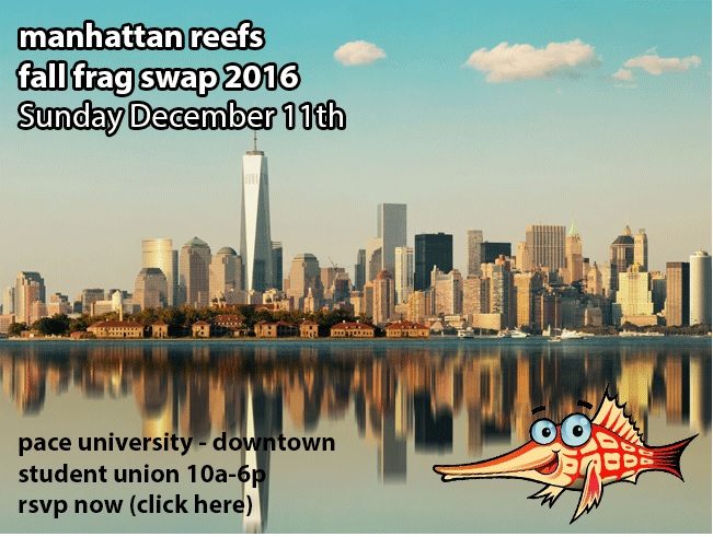 manhattan-reefs-fall-frag-swap-2016-2