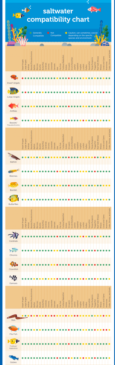 petco fish compatibility chart