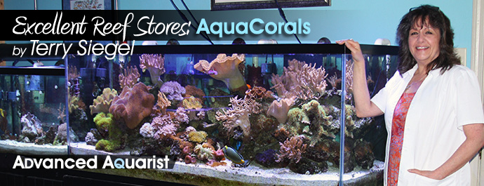 Editorial: Excellent Retail Reef Stores: AquaCorals