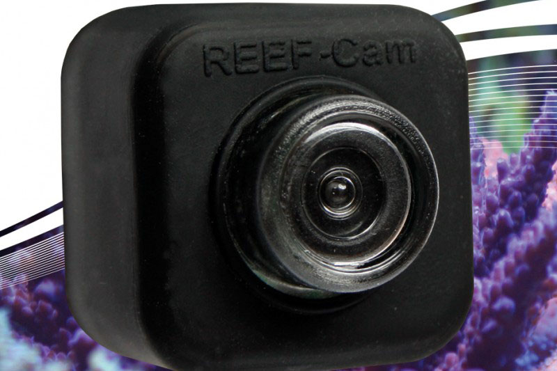 Stream Live Video Underwater with the New IceCap REEF-Cam!