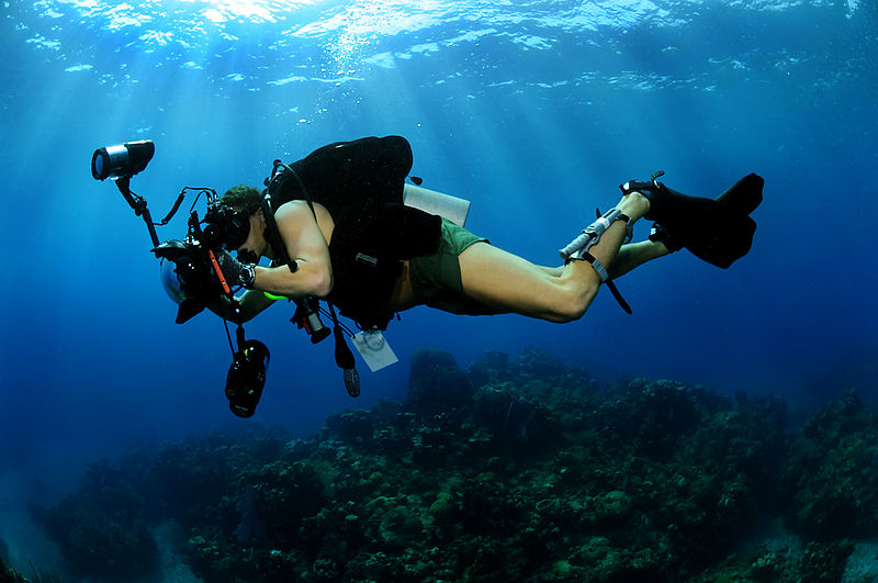 Underwater Photography & Videography
