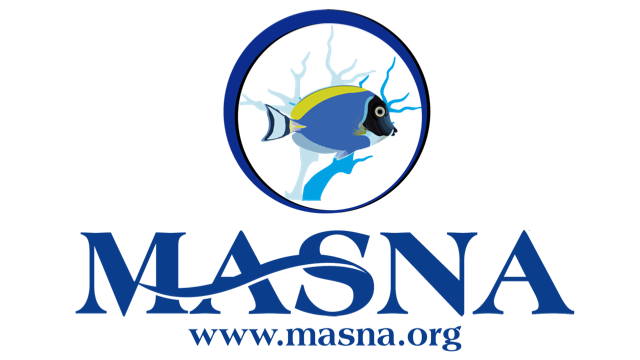 2017-2018 MASNA Student Scholarships