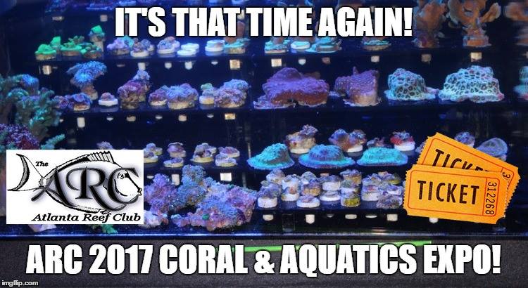 Atlanta Reef Club 2017 Coral and Aquatics Expo