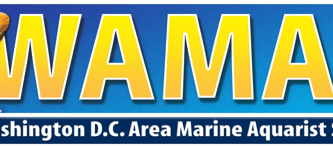 SCCC Marine Lab Recieves WAMAS Grant
