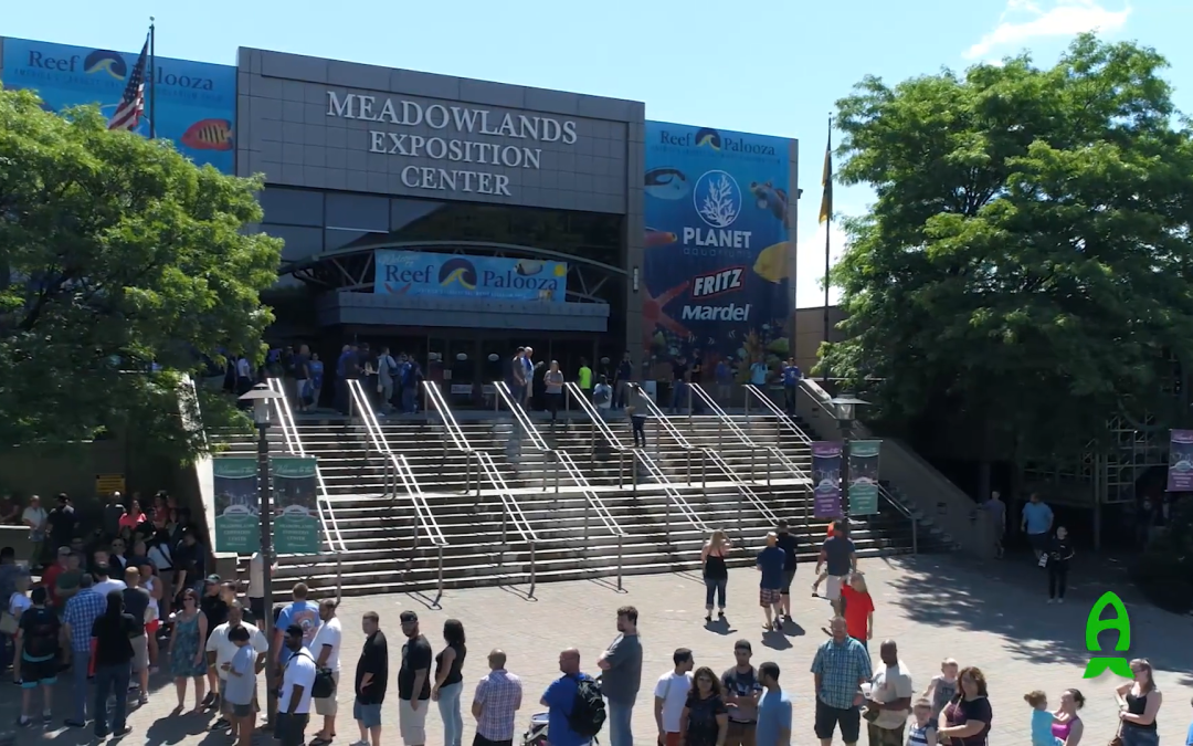 Monday Archives: Reef a Palooza New York 2017 : Walkthrough and more