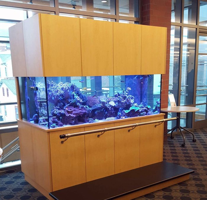 LFS Spotlight: Allquatics in Hamilton, NJ
