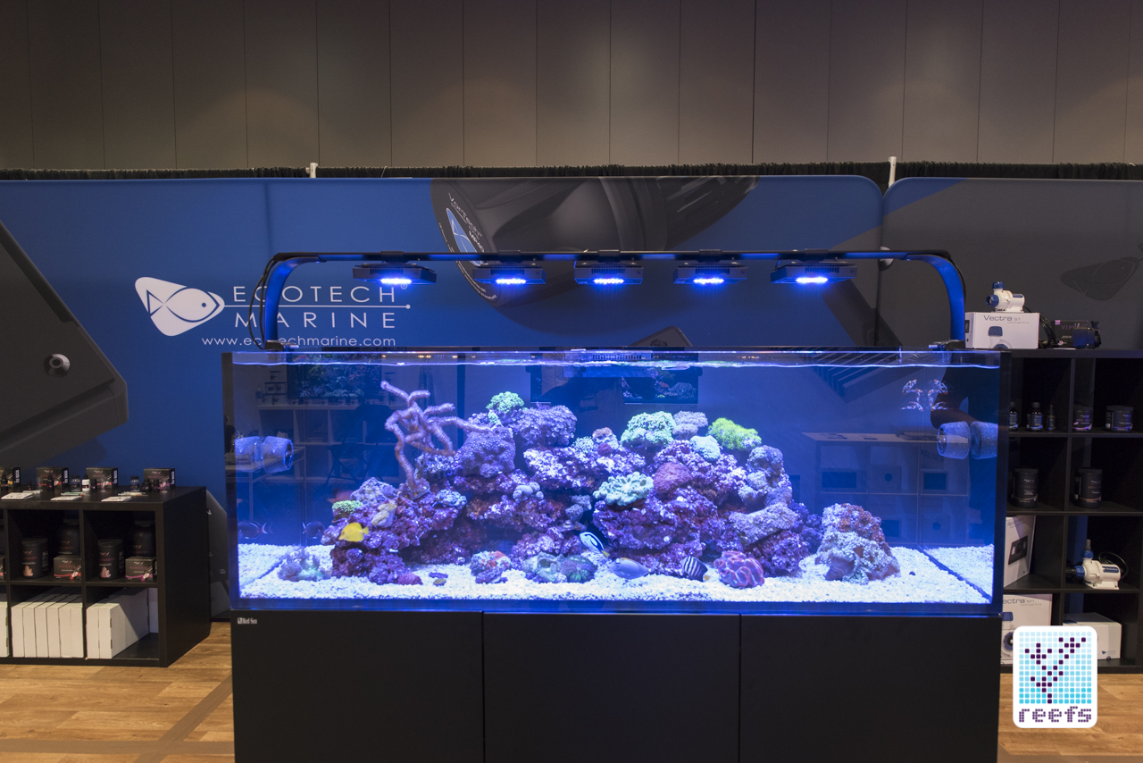 Ecotech reef tank