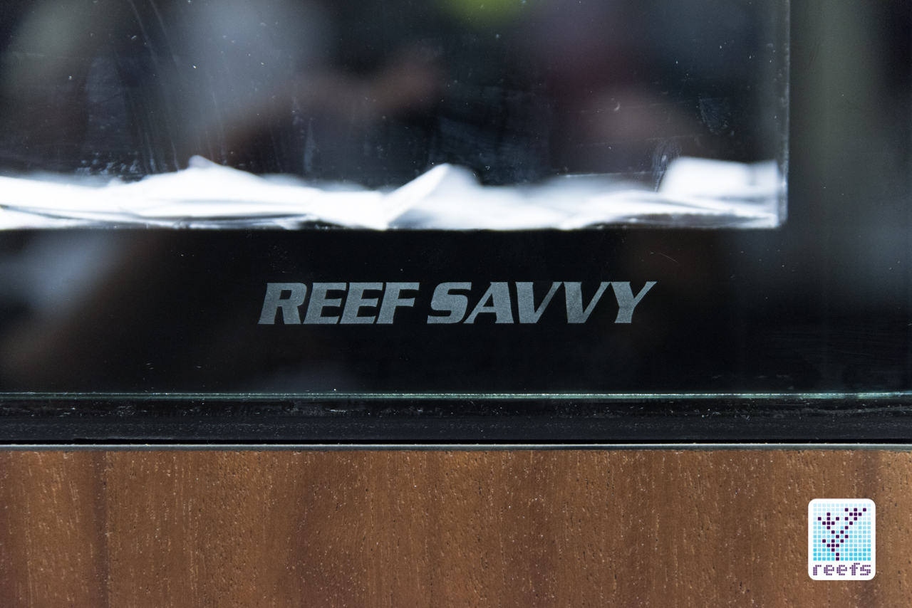 reef savvy tank