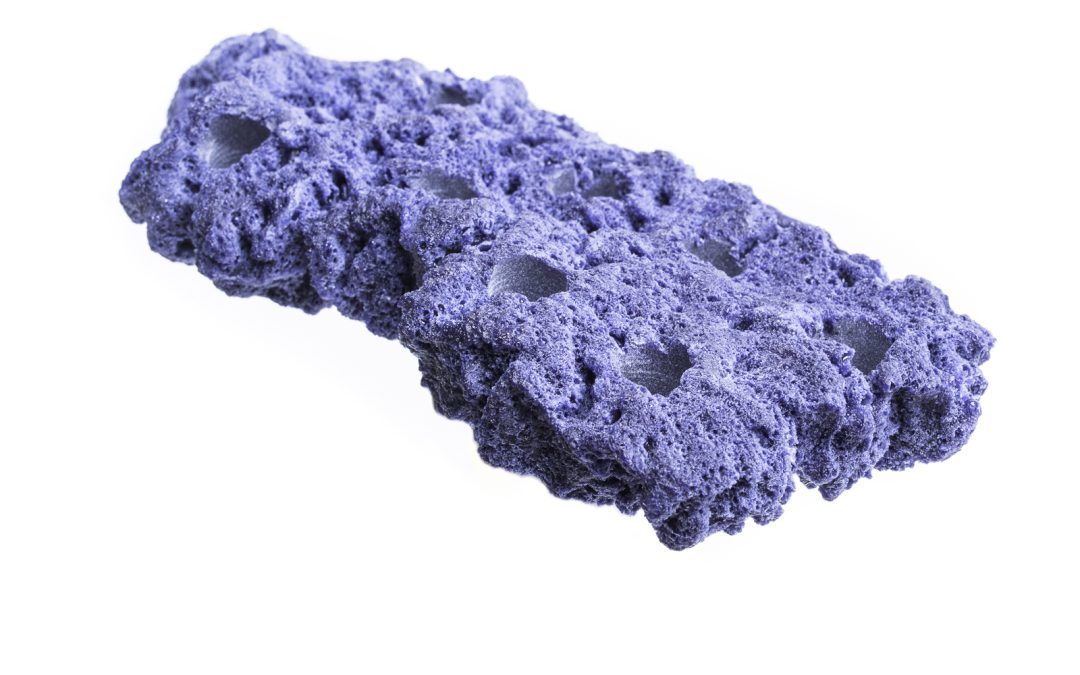 Reef Rax Magnetic frags racks- The Definitive Review
