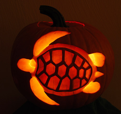 pumpkin sea turtle