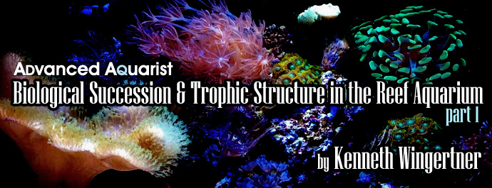 Biological Succession and Trophic Structure in the Reef Aquarium (Part 1)