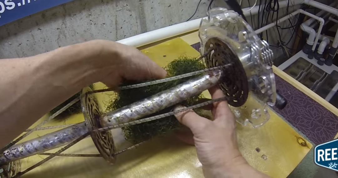 Guide For Basic ARID Algae Reactor Care
